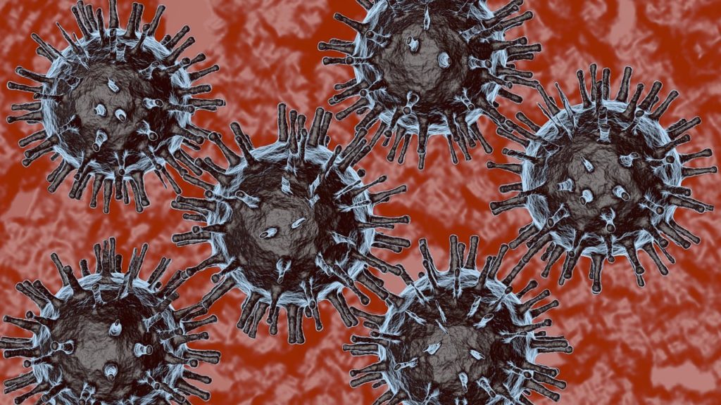 Bird flu
