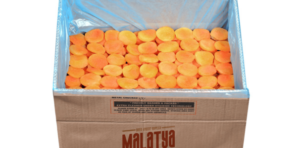 The World of Dried Apricots